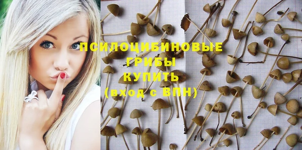 прущий лед Вязьма
