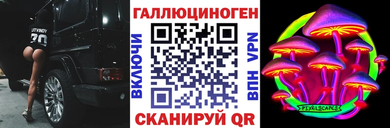 Псилоцибиновые грибы Psilocybe Камбарка